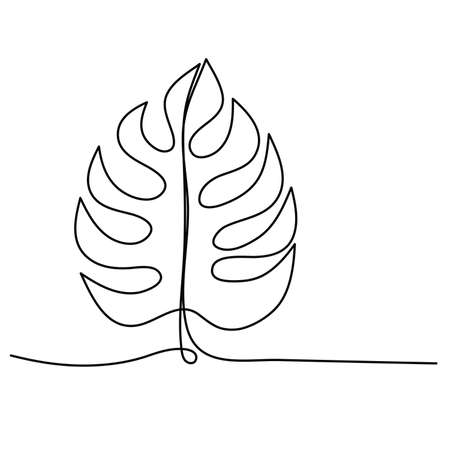 monstera leaf. isolated vector one line iconのイラスト素材