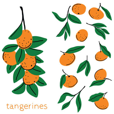 tangerines with leaves simple color illustration. Flat cartoon styleのイラスト素材