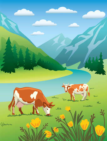 Cows graze in alpine meadows Color illustrationのイラスト素材
