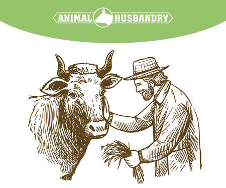 Farmer feeds cow, animal husbandry, handmade sketch.のイラスト素材