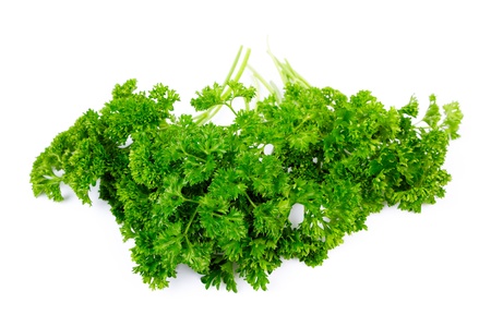 Parsley isolated on whiteの写真素材