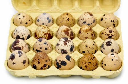 Quail eggsの写真素材