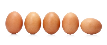 Eggs are built in a rowの写真素材