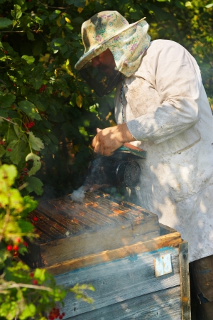 The beekeeper has control over a framework with honeyの写真素材