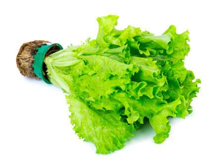 Fresh Green Lettuce Isolated on Whiteの写真素材