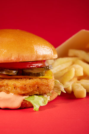 Burger with chicken tomatoes and pickles with french fries. Close up