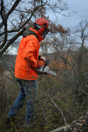 Lumberjack in orange protective jacket and helmet with chainsaw cutting trees, clearing the forest. vertical photographの写真素材
