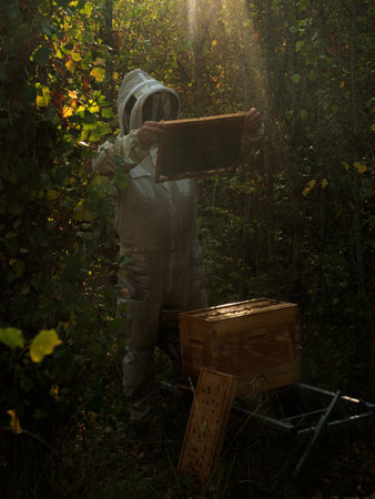 vertical photo of a beekeeper looking through the protective netting at a honeycomb of bees which he holds with his bare hands at the level of his face, outside hive surrounded by light rays, beekeeper surrounded by plants.の写真素材