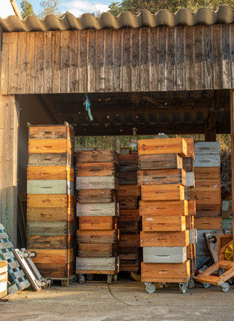 tall, vertical rows of stackable wooden boxes that serve as honey-producing bee hives are in a shed outside.の写真素材