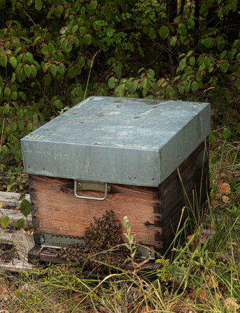 a hive of bees that is closed in the open air, on one side of the hive there are bees that are outside the hive.の写真素材