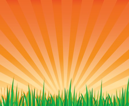 sunrays and grass landscape vector illustration fileのイラスト素材