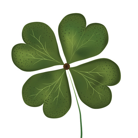 a green four side clovers in a white background