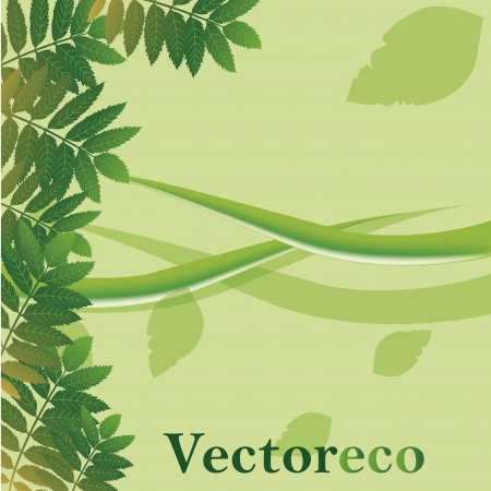 a green vector in a green background with some leafsのイラスト素材