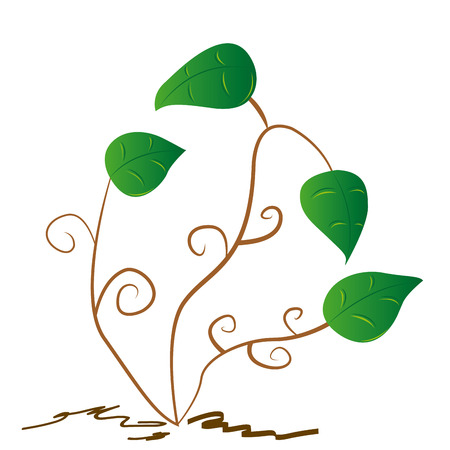 some branches with some leaves on a white backgroundのイラスト素材