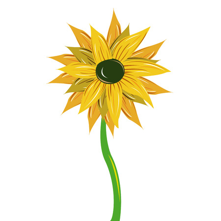 an isolated yellow flower on a white backgroundのイラスト素材