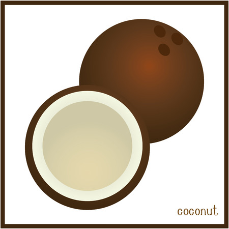 Isolated coconut on a white background. Vector illustrationのイラスト素材