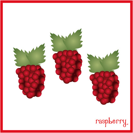 Isolated raspberry on a white background. Vector illustrationのイラスト素材