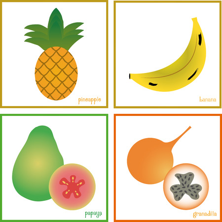 Set of fruits on a white background. Vector illustrationのイラスト素材