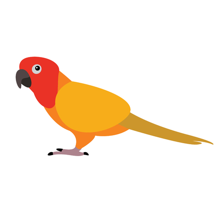 Isolated cute parrot on a white backgroundのイラスト素材