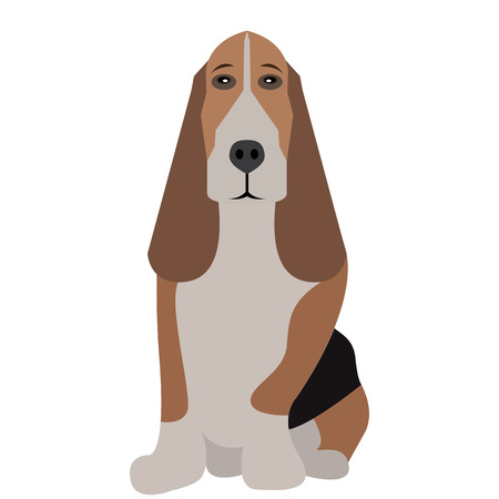 Isolated cute dog on a white backgroundのイラスト素材