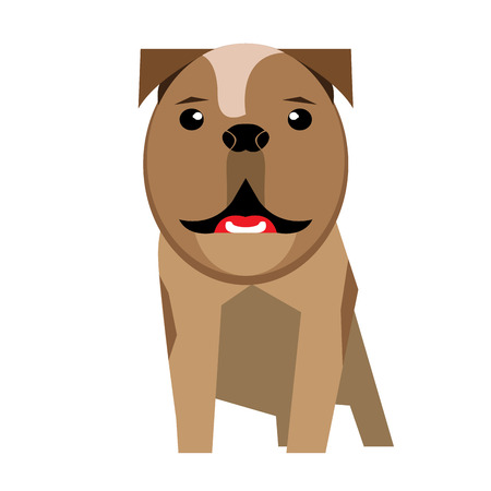 Isolated cute dog on a white backgroundのイラスト素材