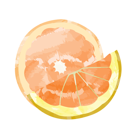 Isolated pair of orange cuts, Vector illustrationのイラスト素材