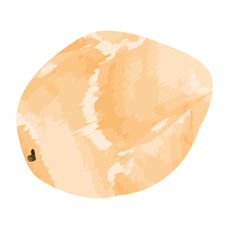 Isolated papaya on a white background, Vector illustrationのイラスト素材