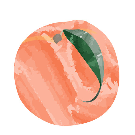 Isolated peach on a white background, Vector illustrationのイラスト素材