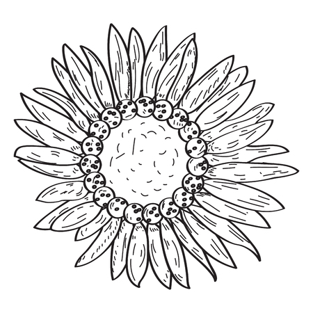 Isolated outline of a flower, Vector illustrationのイラスト素材