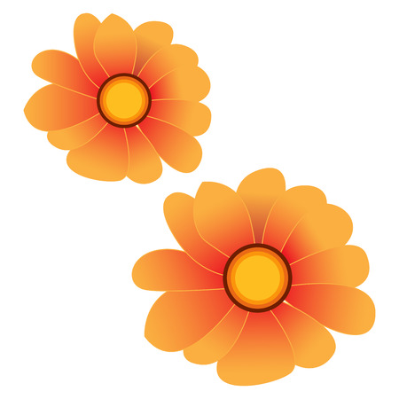 Isolated pair of colored flowers on a white background, Vector illustrationのイラスト素材