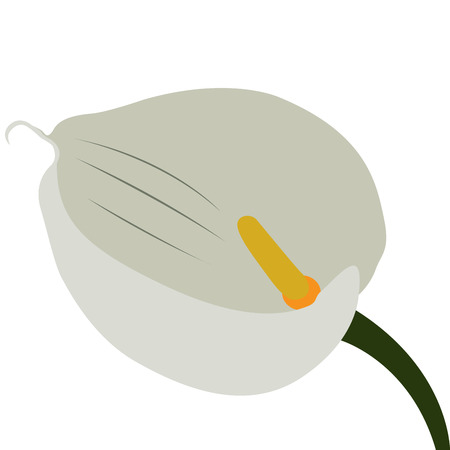 Isolated colored flower on a white background, Vector illustrationのイラスト素材