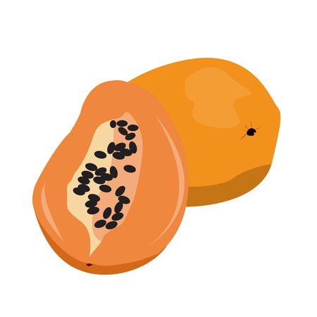 Isolated pair of papayas on a white background, Vector illustrationのイラスト素材