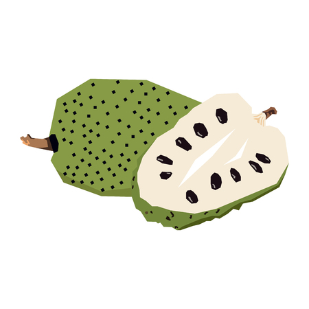 Isolated geometric soursops, Vector illustrationのイラスト素材