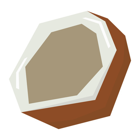 Isolated geometric cut coconut Vector illustrationのイラスト素材