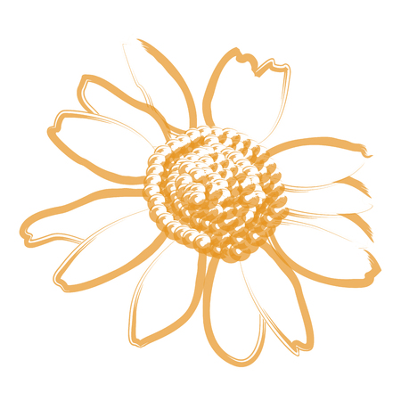 Isolated flower outline on a white background, Vector illustrationのイラスト素材