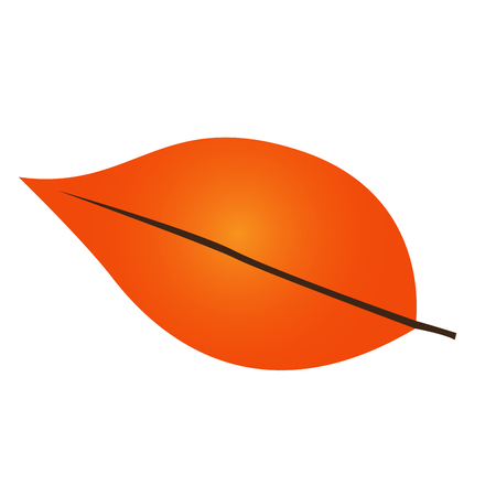 Isolated fall leaf on a white background, Vector illustrationのイラスト素材