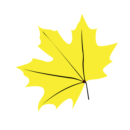 Isolated fall leaf on a white background, Vector illustrationのイラスト素材