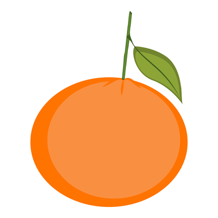 Tangerine isolated on white background, Vector illustrationのイラスト素材