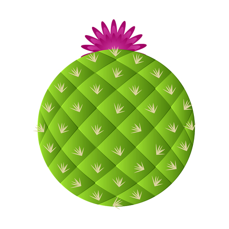 Isolated cute cactusのイラスト素材