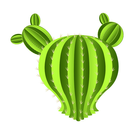Isolated cute cactus image. Vector illustration designのイラスト素材
