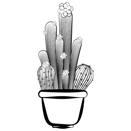 Sketch of a cactusのイラスト素材