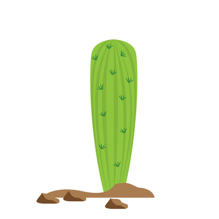 Isolated cartoon cactus icon. Vector illustration designのイラスト素材
