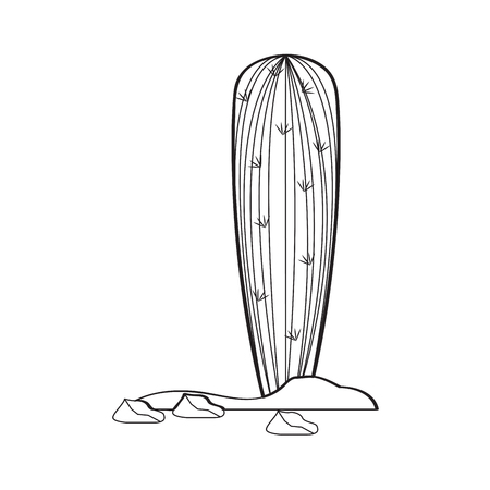 Isolated cartoon cactus sketch. Vector illustration designのイラスト素材