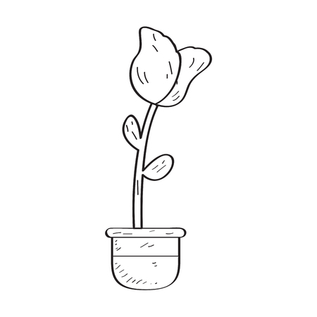 Drawing of a rose. Retro styleのイラスト素材