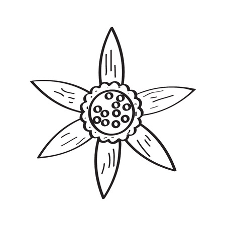 Drawing of a flower.   Vector illustration designのイラスト素材