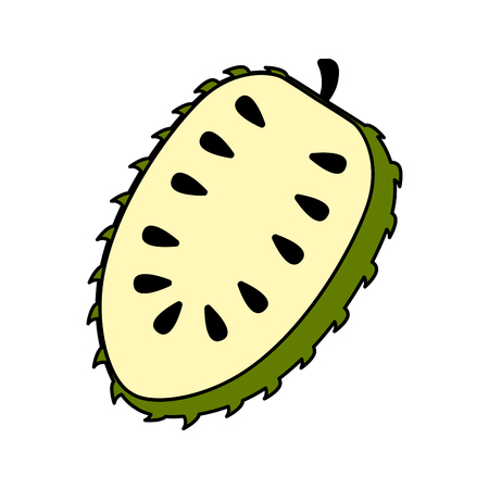 Isolated cut soursop icon. Vector illustration designのイラスト素材