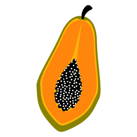 Isolated cut papaya icon. Vector illustration designのイラスト素材