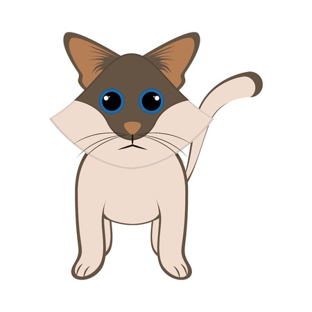 Isolated cute catのイラスト素材