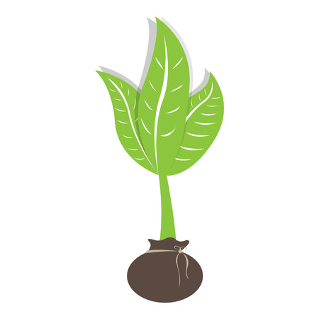 Isolated plant icon. spa concept. Vector illustration designのイラスト素材