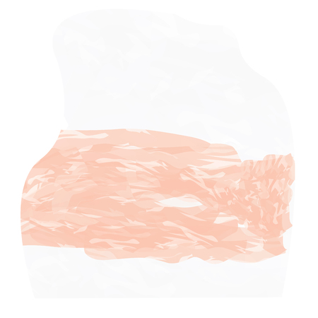 Isolated abstract flag sketch of poland. Vector illustration designのイラスト素材